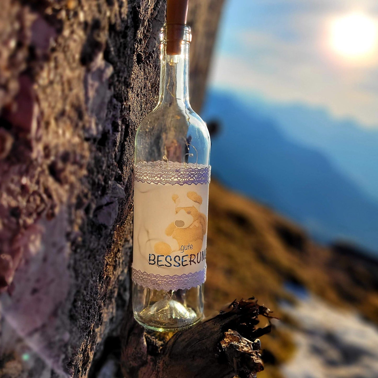 Stoamandal Flaschenlicht - Besser REICH und GESUND - LED Lichterkette in einer Glasflasche