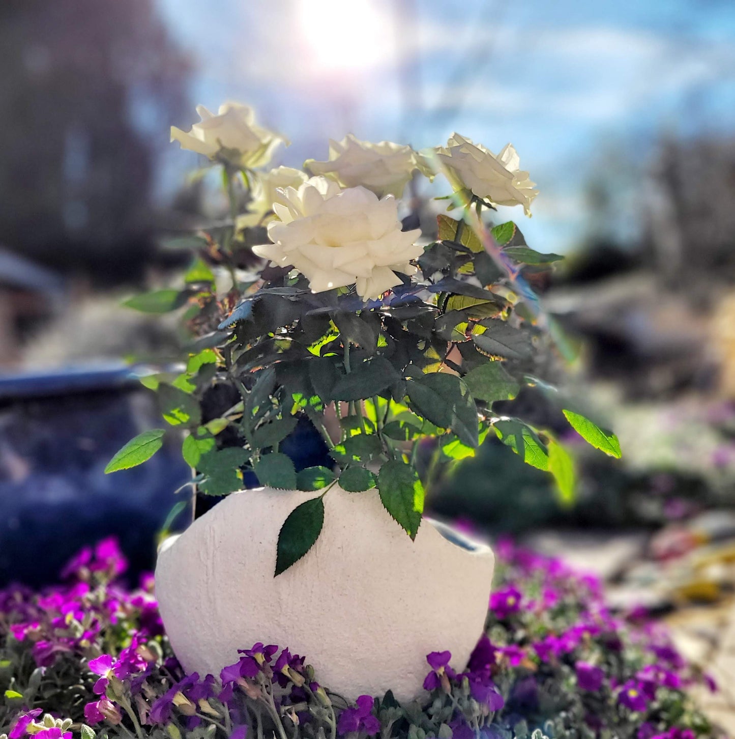 stoamandal Geschenkgutschein